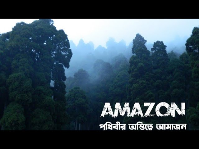 কি হবে যদি আমাজন পুরোপুরি ধংস হয় | What if Amazon is completely destroyed | Touch_Feelings_Media
