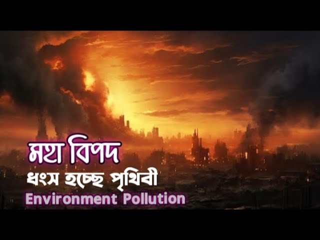 Ways To Avoid Environmental Pollution | পরিবেশ দূষণ থেকে বাচার উপায় | Touch Felling Media