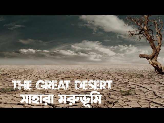 সাহারা মরুভূমির রহস্য | The Great Dessert | Touch Felling Media